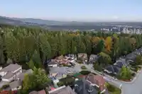 2826 THIMBLEBERRY COURT - thumbnail 33
