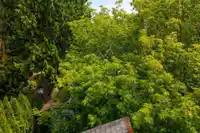 7092 129A STREET - thumbnail 13