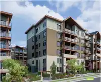 404 11058 132 STREET - thumbnail 5