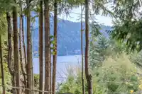 538 REED ROAD - thumbnail 12