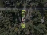 538 REED ROAD - thumbnail 31