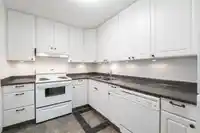 317 13364 102 AVENUE - thumbnail 14