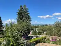2478 E 28TH AVENUE - thumbnail 3
