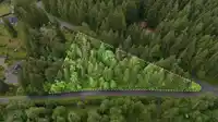 12540 BLUE MOUNTAIN CRESCENT - thumbnail 11