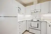 206 2588 ALDER STREET - thumbnail 12