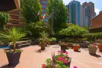 310 1177 HORNBY STREET - thumbnail 26