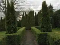 4633 W 4TH AVENUE - thumbnail 3
