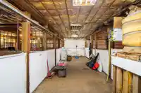 1981 248 STREET - thumbnail 11