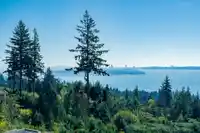 703 3131 DEER RIDGE DRIVE - thumbnail 9