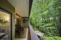 202 3187 MOUNTAIN HIGHWAY - thumbnail 17