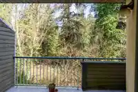 35 2978 WALTON AVENUE - thumbnail 11