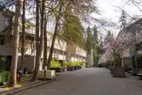 35 2978 WALTON AVENUE - thumbnail 13