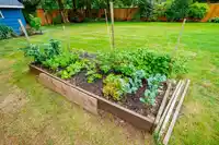 9508 204 STREET - thumbnail 34
