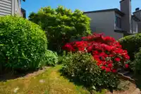 10 230 W 14 STREET - thumbnail 20