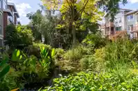 125 5700 ANDREWS ROAD - thumbnail 34