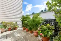 119 1442 BLACKWOOD STREET - thumbnail 23