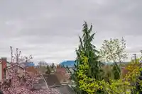 364 8328 207A STREET - thumbnail 21