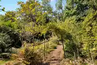 9533 139 STREET - thumbnail 7