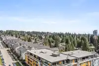 1303 652 WHITING WAY - thumbnail 23