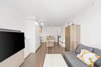 1303 652 WHITING WAY - thumbnail 7