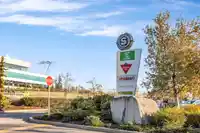 316 15150 29A AVENUE - thumbnail 39