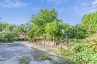 10965 LARK PLACE - thumbnail 5