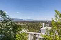4401 3833 EVERGREEN PLACE - thumbnail 25