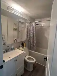 5491 ELIZABETH STREET - thumbnail 9