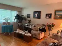 2665 WARD STREET - thumbnail 4