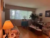 2665 WARD STREET - thumbnail 5