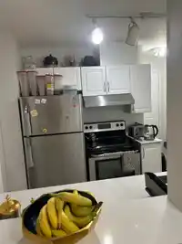209 3978 ALBERT STREET - thumbnail 3
