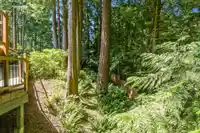 23951 58A PLACE - thumbnail 36