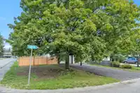 19911 52A AVENUE - thumbnail 4