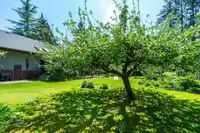 5361 246A STREET - thumbnail 39