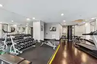 863 RICHARDS STREET - thumbnail 28