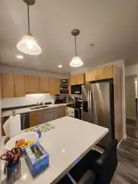 111 19774 56 AVENUE - thumbnail 9