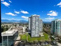 2002 5885 OLIVE AVENUE - thumbnail 2