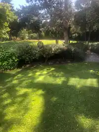 113 20381 96 AVENUE - thumbnail 25