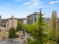 1003 1860 ROBSON STREET - thumbnail 7