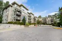 C221 20211 66 AVENUE - thumbnail 22
