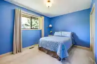 11663 RIDGECREST DRIVE - thumbnail 31