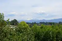 31122 SOUTHERN DRIVE - thumbnail 34