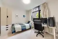 7039 17TH AVENUE - thumbnail 19