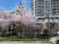 7039 17TH AVENUE - thumbnail 26