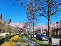 7039 17TH AVENUE - thumbnail 27