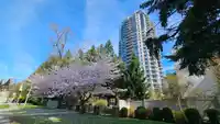 7039 17TH AVENUE - thumbnail 28