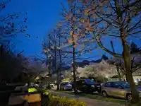 7039 17TH AVENUE - thumbnail 29