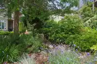 E305 20211 66 AVENUE - thumbnail 27