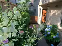 9 215 E 4TH STREET - thumbnail 26