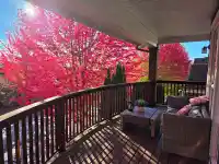 143 MAPLE DRIVE - thumbnail 4